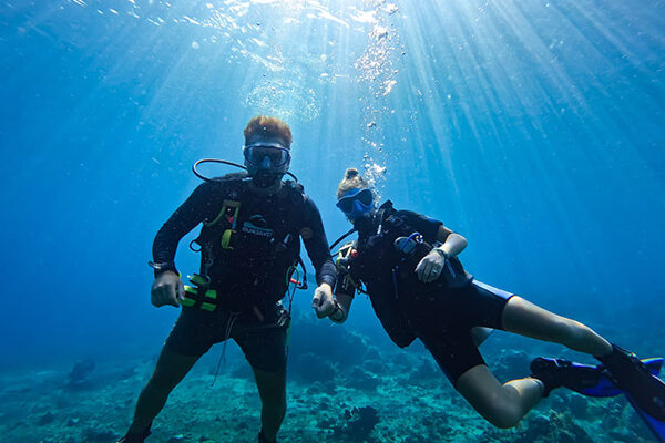 Dive Course