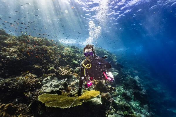 scuba diving tulamben - galeri (1) scuba diving tulamben - galeri (1)