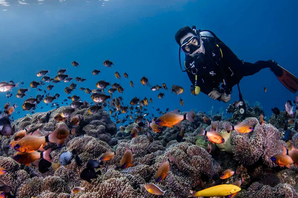 scuba diving tulamben - galeri (2) scuba diving tulamben - galeri (2)