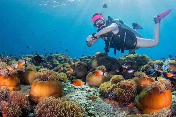 scuba diving tulamben - galeri (3) scuba diving tulamben - galeri (3)
