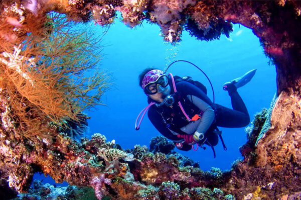 scuba diving tulamben - galeri (4) scuba diving tulamben - galeri (4)
